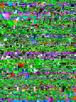 Snapshot of bad-boy-2002 chatting on October 2025 02:37:01 PM bad-boy-2002 online show from October 2025 02:37:01 PM