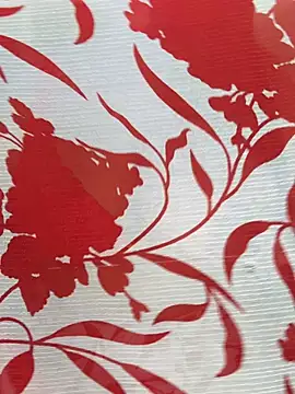 Snapshot of Sexy_Evelynn chatting on February 2026 04:24:01 AM Sexy Evelynn online show from February 2026 04:24:01 AM