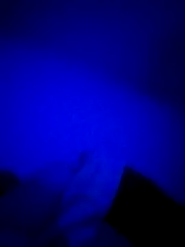 HELL FIRE online show from October 2025 06:10:01 AM