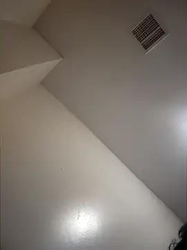 Snapshot of Wildherb244 chatting on December 2024 10:29:01 PM Wildherb244 online show from December 2024 10:29:01 PM