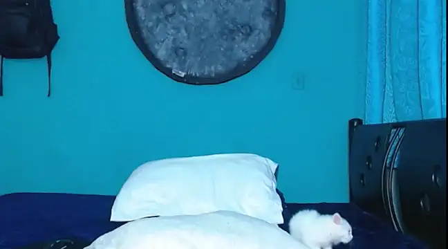 Dirtymatthew online show from February 2025 06:03:01 PM