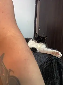 Leahstonee2 online show from February 2025 12:05:01 AM