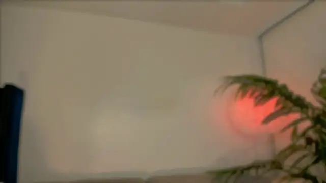  cherry bloss  online show from November 2025 09:35:01 PM