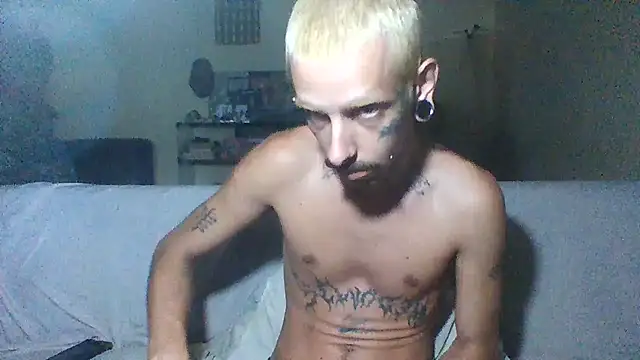 sellvageria online show from December 2025 09:38:01 AM