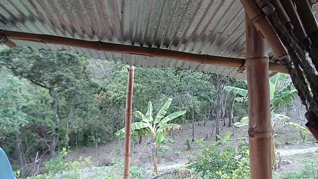 andreu mature online show from October 2025 09:57:02 PM