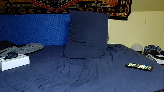 Spacecase2021 online show from January 2025 05:54:01 AM