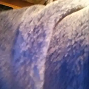 amarrabrown2024 online show from October 2025 06:46:02 AM