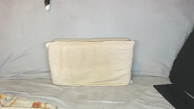 qustci-couple online show from October 2025 09:43:02 AM