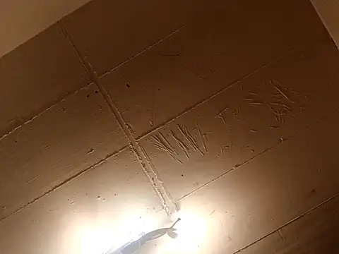 Snapshot of Timbojan28 chatting on March 2026 11:48:01 PM Timbojan28 online show from March 2026 11:48:01 PM