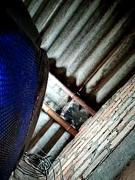 Lukas strong online show from September 2025 03:25:01 PM