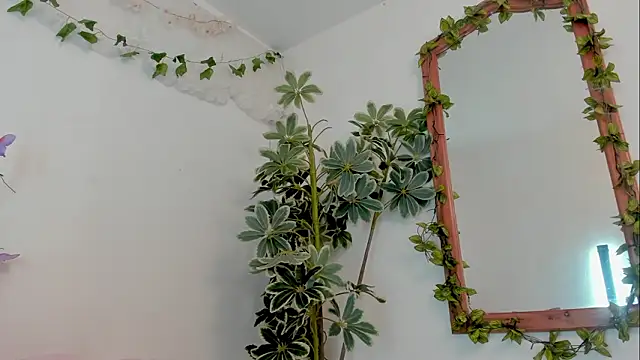 BonnieCute  online show from March 2026 11:53:02 PM