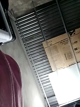 Dina wet online show from December 2024 10:39:02 AM