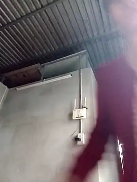 Dina wet online show from December 2024 12:08:02 AM