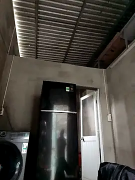 Dina wet online show from December 2024 03:50:02 AM