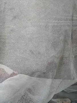 Dina wet online show from December 2024 03:23:02 AM