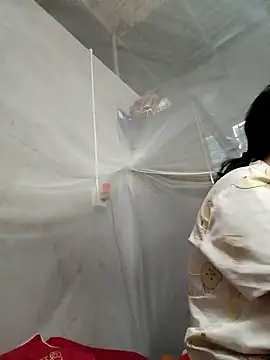 Dina wet online show from January 2025 11:35:02 AM