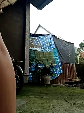 Dina wet online show from January 2025 12:34:02 AM