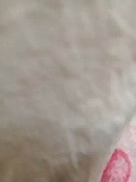 Dina wet online show from January 2025 02:43:02 AM