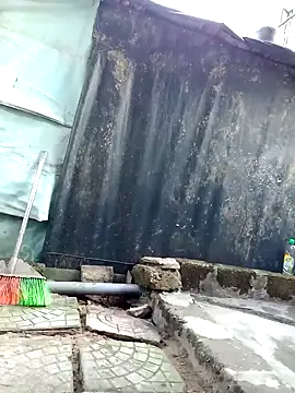 Dina wet online show from January 2025 02:07:02 AM