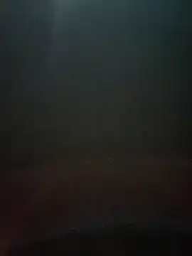 Snapshot of cumshotboy01 chatting on December 2024 03:54:02 PM cumshotboy01 online show from December 2024 03:54:02 PM