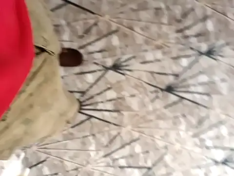 sokrates13 online show from January 2025 07:15:01 AM