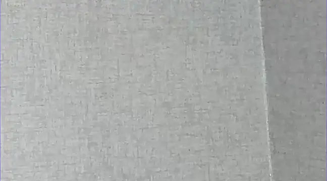 Snapshot of Ricardogo19 chatting on March 2025 01:43:01 AM Ricardogo19 online show from March 2025 01:43:01 AM