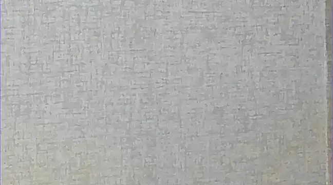 Snapshot of Ricardogo19 chatting on March 2025 02:37:02 AM Ricardogo19 online show from March 2025 02:37:02 AM