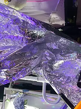 gurlnips online show from October 2025 06:05:01 PM