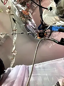 gurlnips online show from November 2025 06:25:02 AM