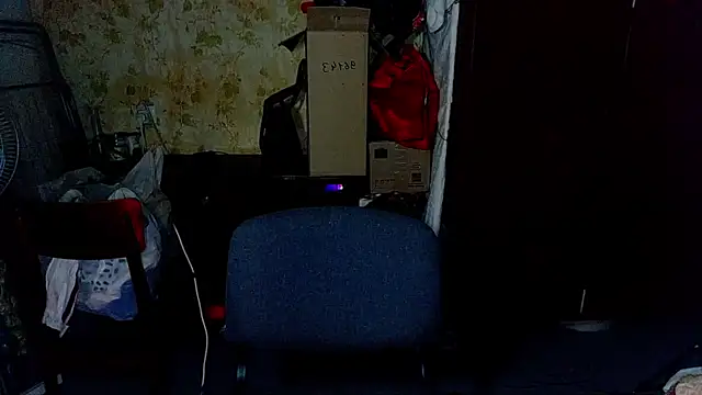 Snapshot of HilmarZ chatting on January 2025 04:30:01 PM HilmarZ online show from January 2025 04:30:01 PM