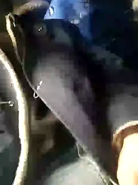 Snapshot of Analcholic chatting on December 2024 03:10:01 PM Analcholic online show from December 2024 03:10:01 PM