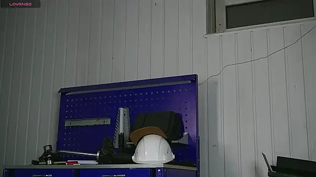 dustyn fox online show from January 2026 03:17:01 PM