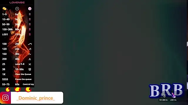 Snapshot of DominicPrince chatting on November 2025 07:35:01 PM DominicPrince online show from November 2025 07:35:01 PM