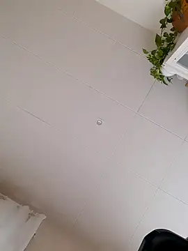 Greacky online show from December 2024 12:01:01 PM