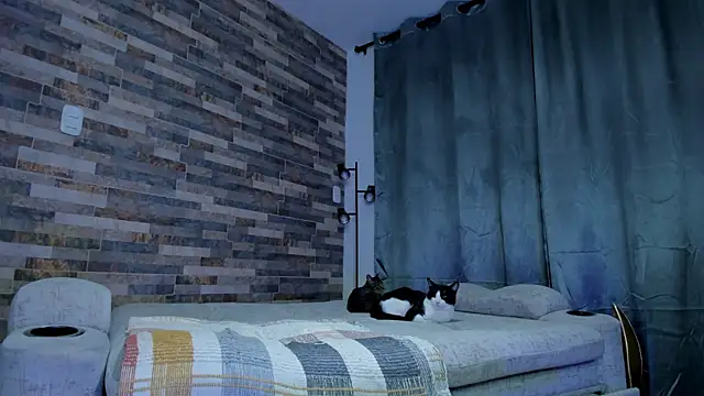 zaiin diesel online show from January 2025 01:22:02 AM