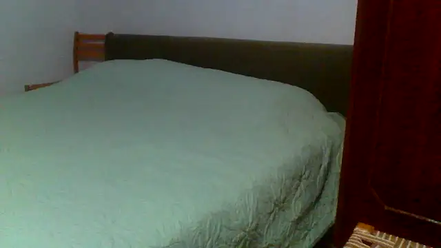 Snapshot of petan33 chatting on September 2025 06:41:02 PM petan33 online show from September 2025 06:41:02 PM