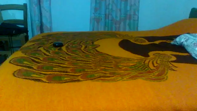 Snapshot of petan33 chatting on October 2025 07:47:01 PM petan33 online show from October 2025 07:47:01 PM