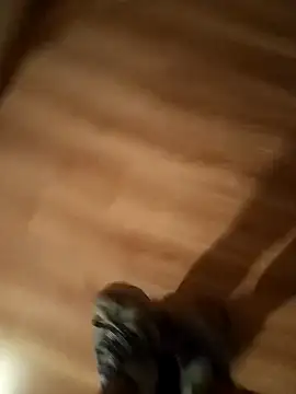 pana1978loco online show from November 2025 06:49:02 AM