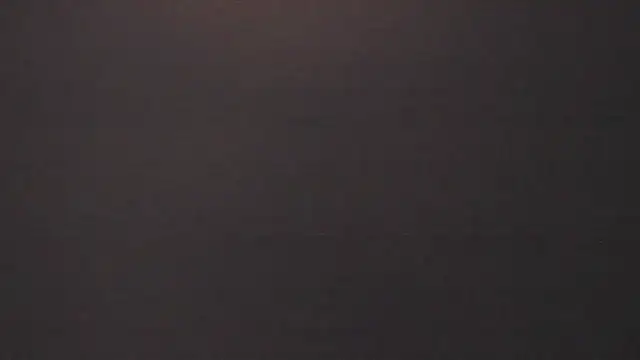 vera candella online show from February 2026 12:01:02 PM