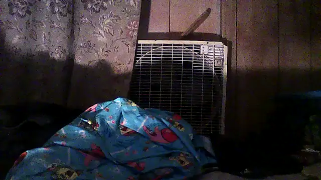 luke thighwalker2469 online show from December 2025 02:50:02 AM