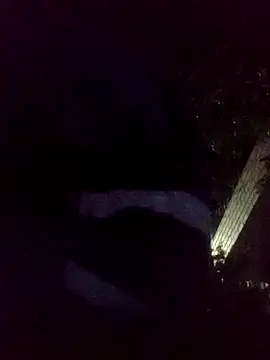 Snapshot of mis312 chatting on November 2025 06:40:02 AM mis312 online show from November 2025 06:40:02 AM