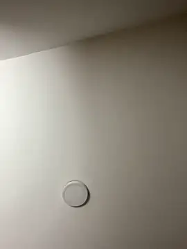 Snapshot of Freya_Artemisa chatting on February 2026 08:38:02 PM Freya Artemisa online show from February 2026 08:38:02 PM