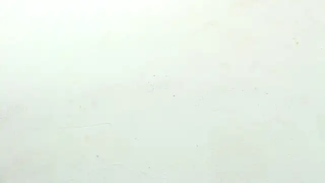 Snapshot of sinay024 chatting on February 2026 08:03:02 AM sinay024 online show from February 2026 08:03:02 AM