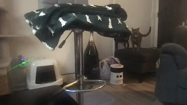 Snapshot of SpunCandy chatting on March 2026 08:25:01 PM SpunCandy online show from March 2026 08:25:01 PM