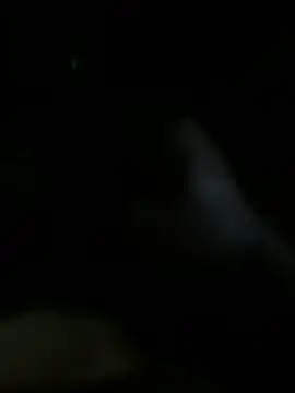 Josevictor650 online show from June 2026 07:33:02 AM