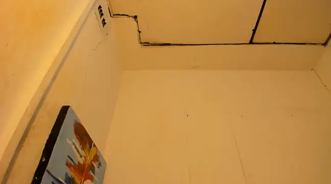 janestones online show from January 2025 09:19:01 AM