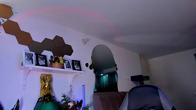 Snapshot of evy_orange1 chatting on March 2026 03:00:01 AM evy orange1 online show from March 2026 03:00:01 AM