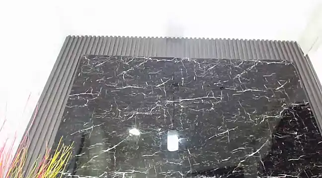 Snapshot of NalaRoy chatting on December 2024 11:54:01 AM NalaRoy online show from December 2024 11:54:01 AM