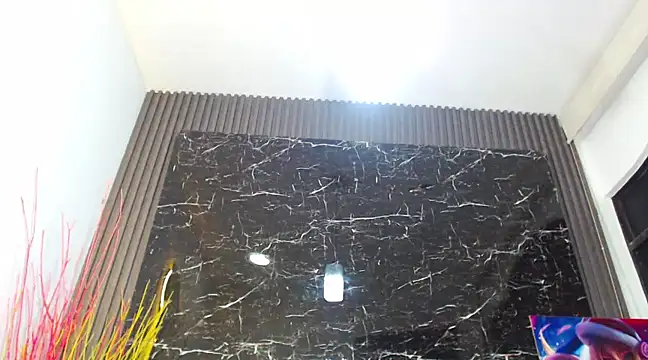 Snapshot of NalaRoy chatting on December 2024 06:29:01 AM NalaRoy online show from December 2024 06:29:01 AM