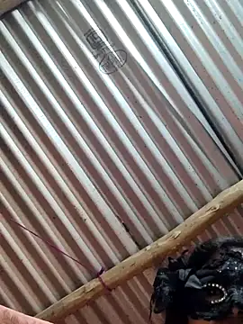 Snapshot of Sexy-sheela chatting on November 2025 05:36:02 PM Sexy-sheela online show from November 2025 05:36:02 PM